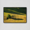 Sunlight Geometry 1