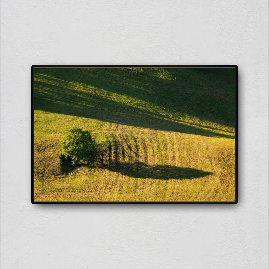 Sunlight Geometry 1