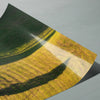 Sunlight Geometry 1